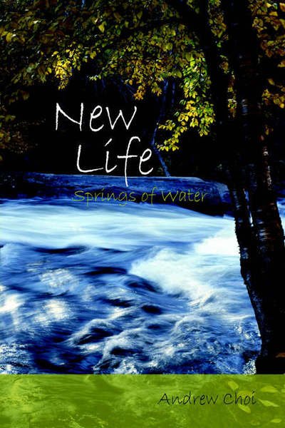 Cover for Andrew Choi · New Life (Gebundenes Buch) (2005)