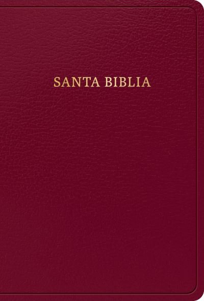 Cover for B&amp;H Español Editorial Staff · RVR 1960 Biblia Letra Grande Tamaño Manual, Borgoña, Imitación Piel (edición 2023) (Bog) (2023)