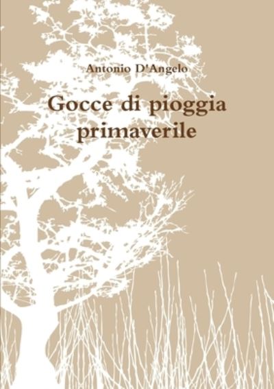 Cover for Antonio D'Angelo · Gocce Di Pioggia Primaverile (Book) (2012)