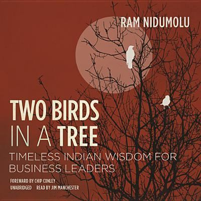 Cover for Ram Nidumolu · Two Birds in a Tree (CD) (2013)