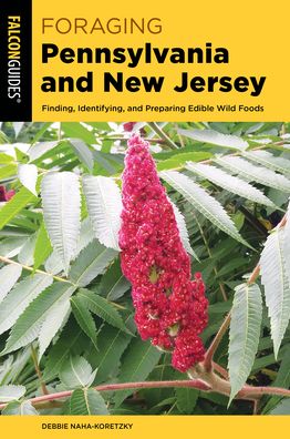 Cover for Debbie Naha-Koretzky · Foraging Pennsylvania and New Jersey - Foraging Series (Paperback Book) (2021)