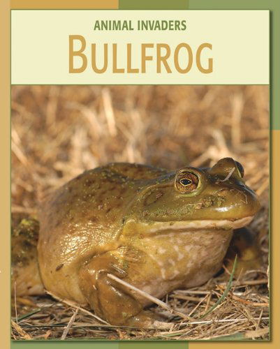 Bullfrog (Animal Invaders) - Susan Heinrichs Gray - Książki - Cherry Lake Publishing - 9781602793279 - 2009