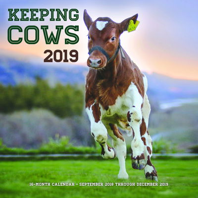 Kal. Keeping Cows 2019 - Editors of Rock Point - Books - Rock Point - 9781631065279 - August 2, 2018