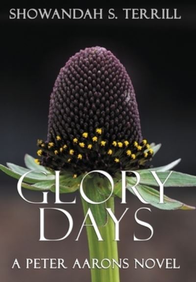 Cover for Showandah S Terrill · Glory Days (Hardcover Book) [Remastered edition] (2021)