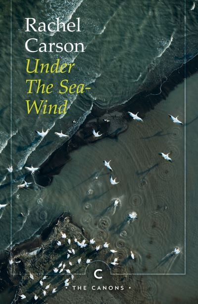 Under the Sea-Wind - Canons - Rachel Carson - Books - Canongate Books - 9781786899279 - June 3, 2021