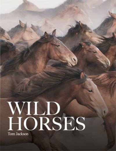 Cover for Tom Jackson · Wild Horses - Animals (Hardcover bog) (2024)