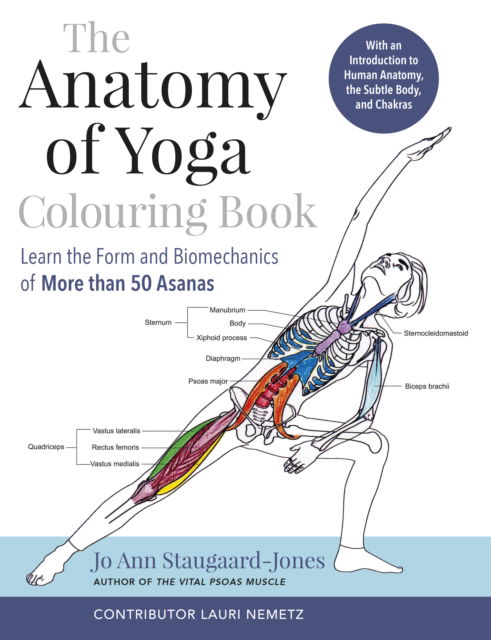 Cover for Jo Ann Staugaard-Jones · The Anatomy of Yoga Colouring Book: Learn the Form and Biomechanics of More than 50 Asanas (Paperback Book) (2022)