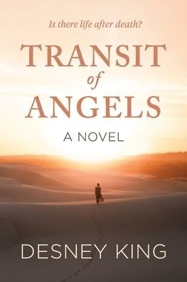 Cover for Desney King · Transit of Angels (Paperback Bog) (2020)