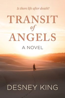 Cover for Desney King · Transit of Angels (Paperback Book) (2020)