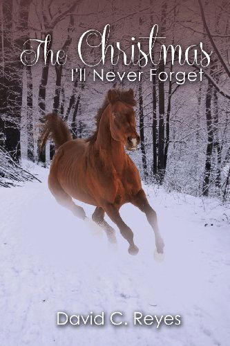 The Christmas I'll Never Forget - David Reyes - Kirjat - CrossLink Publishing - 9781936746279 - keskiviikko 13. maaliskuuta 2013