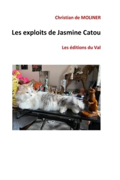 Cover for Christian De Moliner · Les exploits de Jasmine Catou (Paperback Book) (2020)