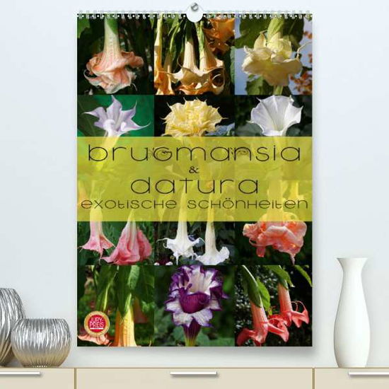 Cover for Cross · Brugmansia &amp; Datura - Exotische S (Book)