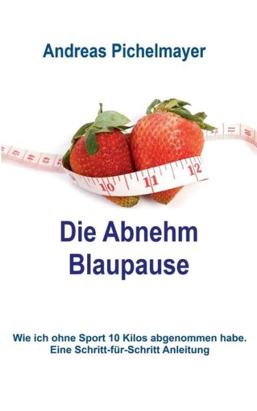 Cover for Andreas Pichelmayer · Die Abnehm Blaupause (Paperback Book) [German edition] (2014)