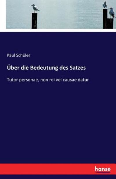 Cover for Schüler · Über die Bedeutung des Satzes (Buch) (2016)