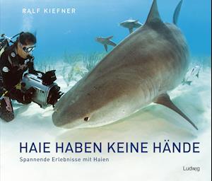 Cover for Ralf Kiefner · Haie haben keine Hände - Spannende Erlebnisse mit Haien (Gebundenes Buch) (2021)