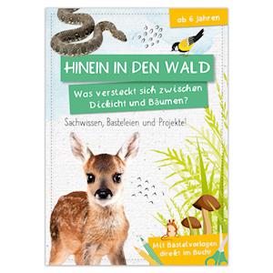 Cover for Activity Heft: Hinein in den Wald - Was versteckt sich zwischen Dickicht und Bäumen? (Book) (2025)