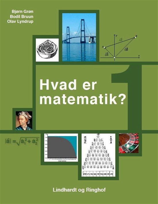 Cover for Bjørn Grøn; Bodil Bruun; Olav Lyndrup · Hvad er matematik: Hvad er matematik? 1 (Sewn Spine Book) [3.º edición] (2017)