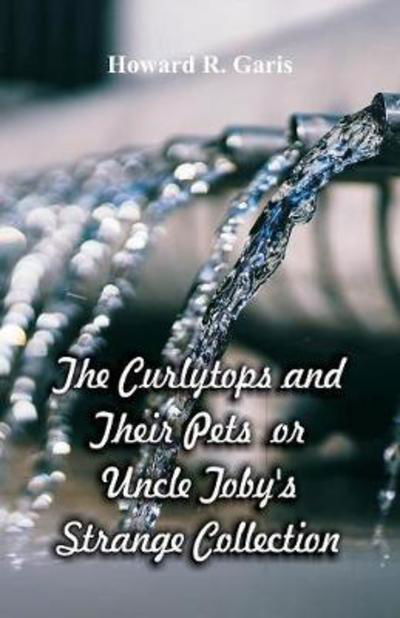 The Curlytops and Their Pets - Howard R Garis - Books - Alpha Edition - 9789352973279 - June 16, 2018