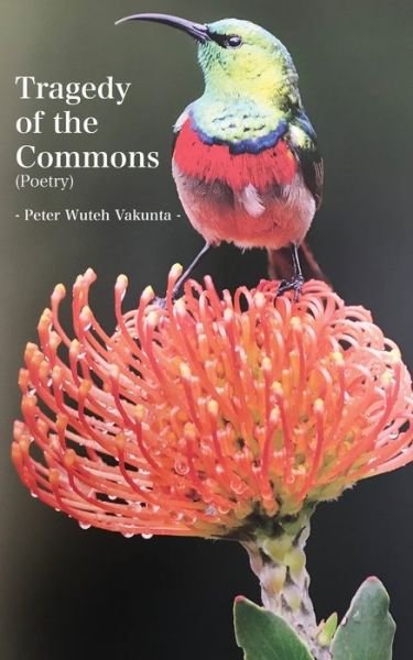 Cover for Peter Wuteh Vakunta · Tragedy of the Commons (Paperback Bog) (2020)