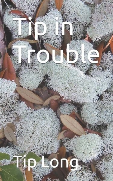 Cover for Tip Long · Tip in Trouble (Paperback Book) (2020)