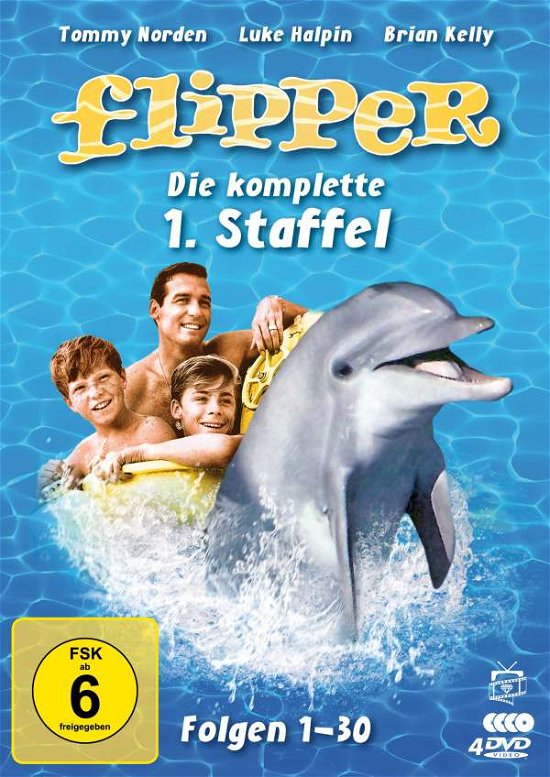 Cover for Kelly,brian / Norden,tommy · Flipper-die Komplette 1.staffel (4 Dvds) (Ferns (DVD) (2020)
