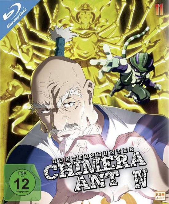 Hunterxhunter - Volume 11 (episode 113-124) (2 Blu-rays) - Movie - Movies - KSM Anime - 4260623481280 - August 20, 2020