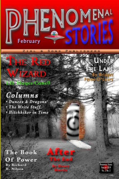 Cover for Shawn M. Tomlinson · Phenomenal Stories, Vol. 2, No. 2 (Book) (2018)