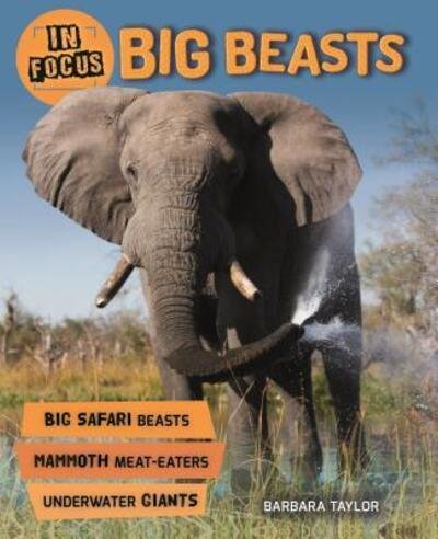 Cover for Steve Parker · In Focus: Big Beasts - In Focus (Hardcover Book) (2018)