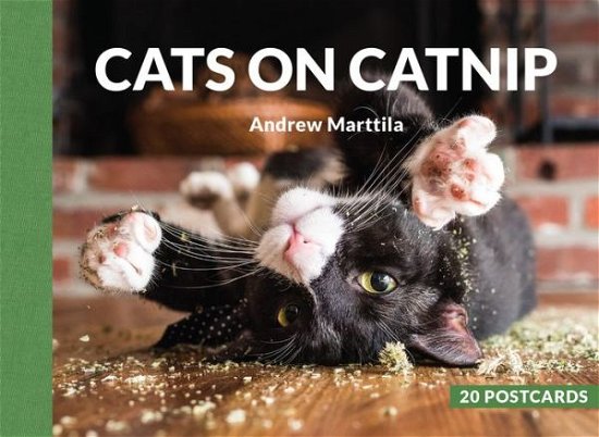 Cover for Andrew Marttila · Cats on Catnip: 20 Postcards (Book) (2019)