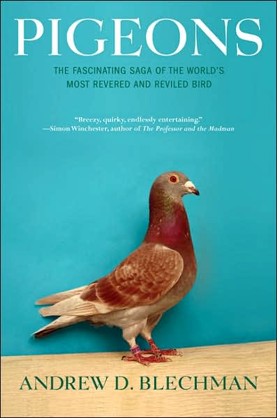 Cover for Andrew D. Blechman · Pigeons: The Fascinating Saga of the World's Most Revered and Reviled Bird (Taschenbuch) [First Trade Paper edition] (2007)