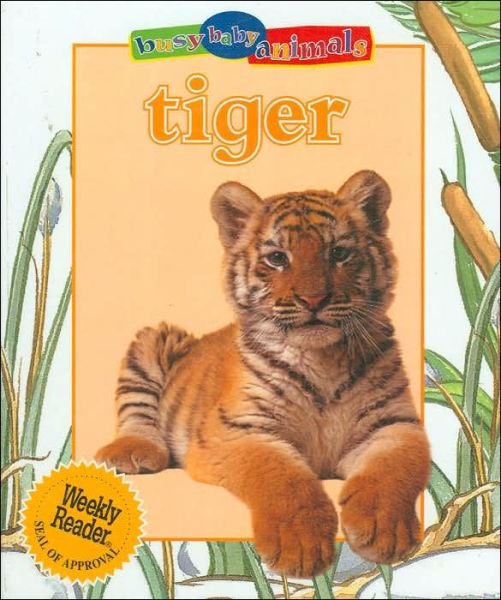 Cover for Jinny Johnson · Tiger (Busy Baby Animals) (Hardcover Book) (2001)