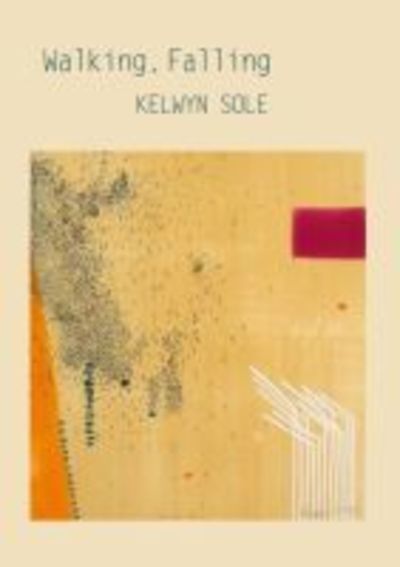 Cover for Kelwyn Sole · Walking. Falling: A Deep South publication (Paperback Book) (2018)