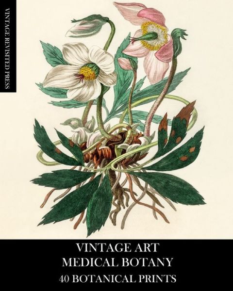 Cover for Vintage Revisited Press · Vintage Art (Taschenbuch) (2024)