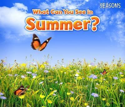 Cover for Sian Smith · What Can You See In Summer? - Seasons (Paperback Book) (2015)