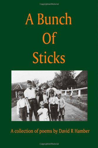 Cover for David R. Hamber · A Bunch of Sticks (Paperback Book) (2006)