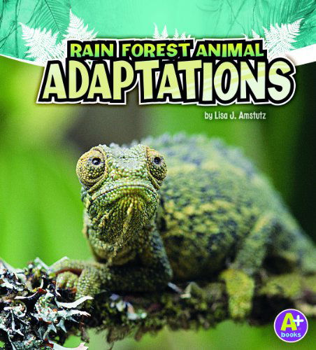 Cover for Lisa J. Amstutz · Rain Forest Animal Adaptations (Amazing Animal Adaptations) (Hardcover Book) (2011)