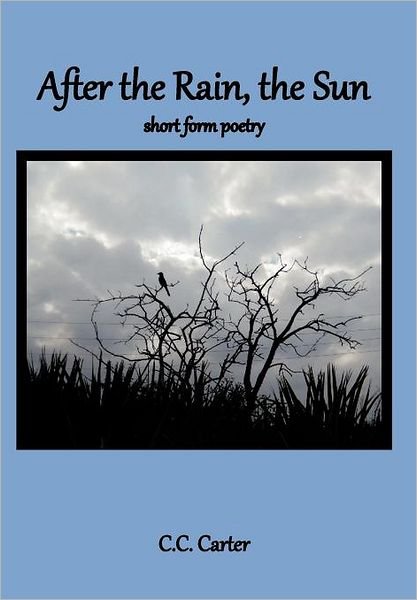 Cover for C C Carter · After the Rain, the Sun: Short Form Poetry (Hardcover Book) (2012)
