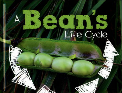 Cover for Mary R. Dunn · A Bean's Life Cycle - Explore Life Cycles (Hardcover Book) (2017)