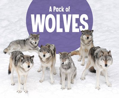 Cover for Martha E. H. Rustad · A Pack of Wolves - Animal Groups (Hardcover Book) (2020)