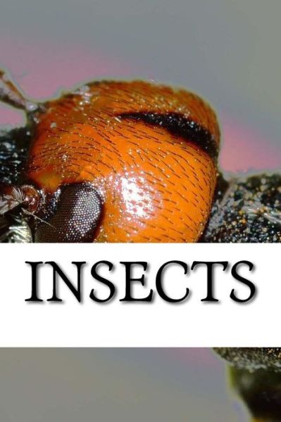 Insects - Insect - Boeken - Createspace Independent Publishing Platf - 9781542938280 - 7 februari 2017