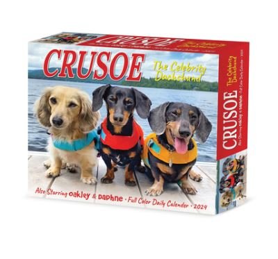 Cover for Crusoe the Celebrity Dachshund 2024 6.2 X 5.4 Box Calendar (Calendar) (2023)