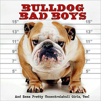 Cover for Willow Creek Press · Bulldog Bad Boys (Hardcover Book) (2009)