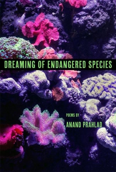 Cover for Anand Prahlad · Dreaming of Endangered Species (Paperback Book) (2023)