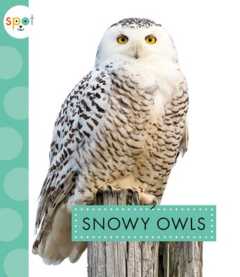 Cover for Anastasia Suen · Snowy Owls (Taschenbuch) (2020)