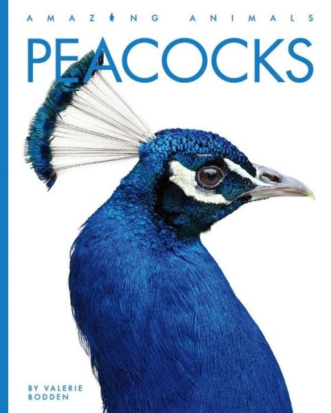 Cover for Valerie Bodden · Peacocks (Bog) (2023)
