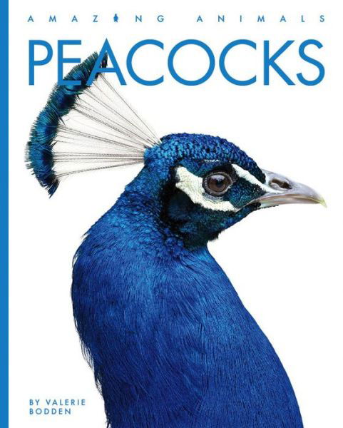 Peacocks - Valerie Bodden - Bøker - Creative Company, The - 9781682771280 - 17. januar 2023