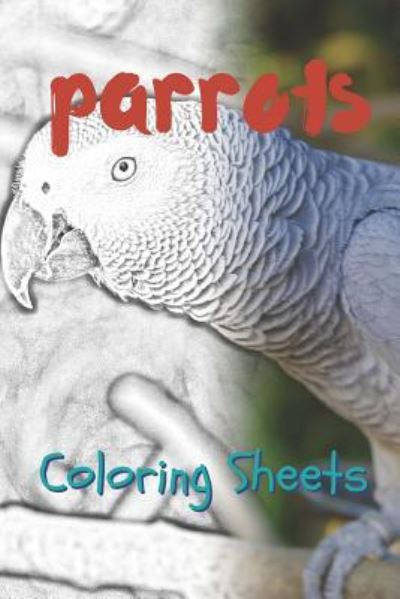 Cover for Julian Smith · Parrot Coloring Sheets (Pocketbok) (2019)