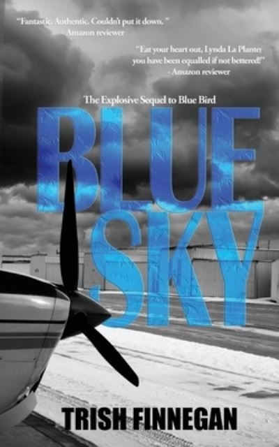 Blue Sky - The Blue Bird Series - Trish Finnegan - Książki - Burning Chair Publishing - 9781912946280 - 22 września 2022