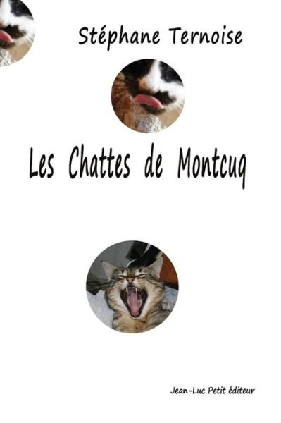 Cover for Stephane Ternoise · Les chattes de Montcuq (Paperback Bog) (2016)