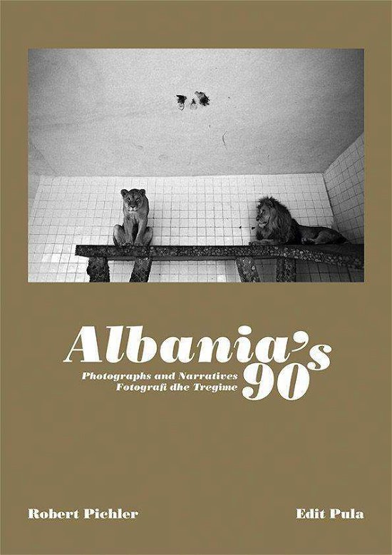 Cover for Pichler, Robert; Pula, Edit · Albania's 90s (Bog)